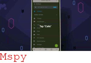Mspy How Does It Work